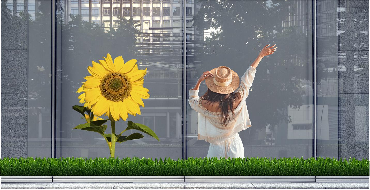 sommer 2