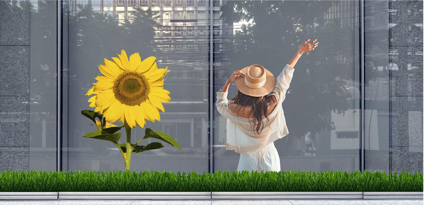 sommer3