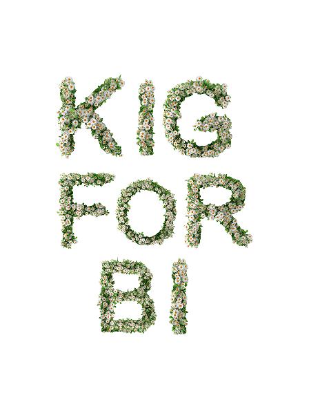 Sommer, “KIG FORBI” Blomster bogstaver H: ca 30 cm/ L: ca 180 cm #0493
