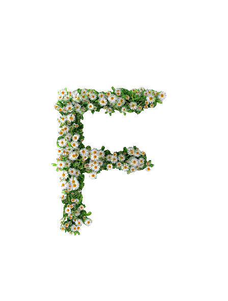 Sommer, Bogstav F #0306