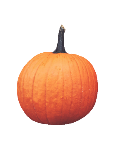 Græskar h: 60 cm #0135