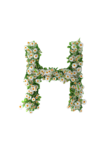 Sommer, Bogstav H #0308