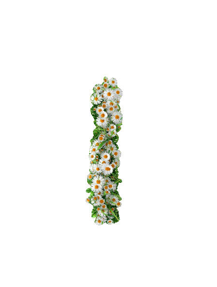 Sommer, Bogstav I #0309