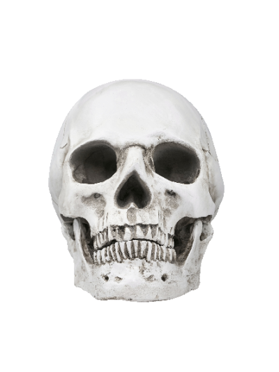 Halloween, skelet #0129