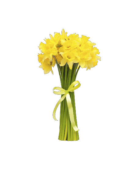 Sommer tulipaner (100 cm) #0025