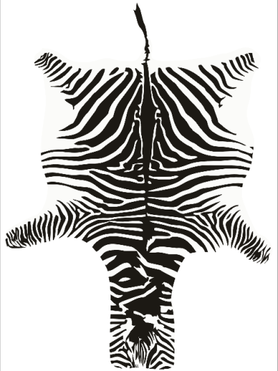NODUBO, Zebra