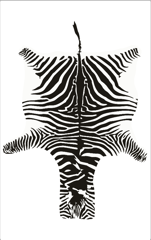 NODUBO, Zebra