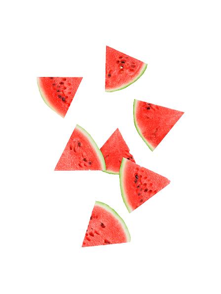 Vandmelon (ca 25 cm stk.) #0138