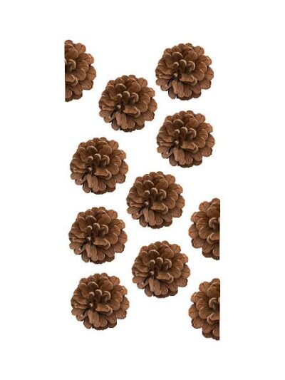 Grankogle Stk. / H: 25 cm #0210