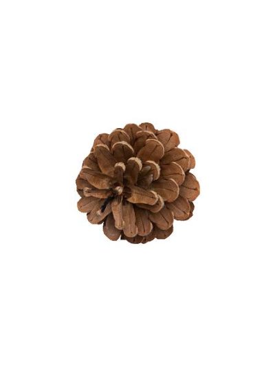 Grankogle 16 stk. h: 25 cm #0210