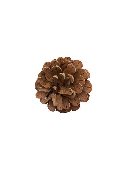 Grankogle 16 stk. h: 25 cm #0210