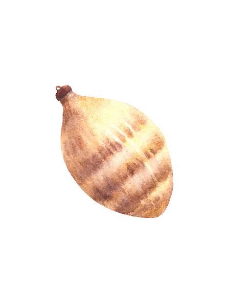 Kogle, illustration #0386