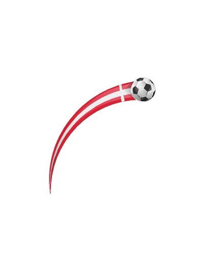 Fodbold Fejring #0399