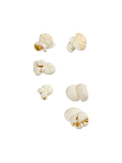 Popcorn (ca h: 20 cm. Pr stk.) #0504