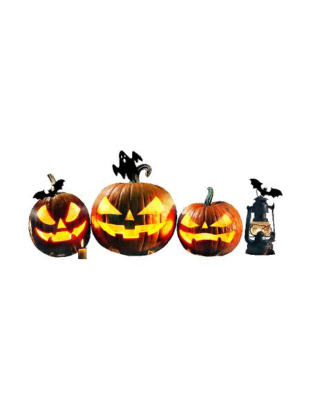 Halooween L: 120 cm #0555