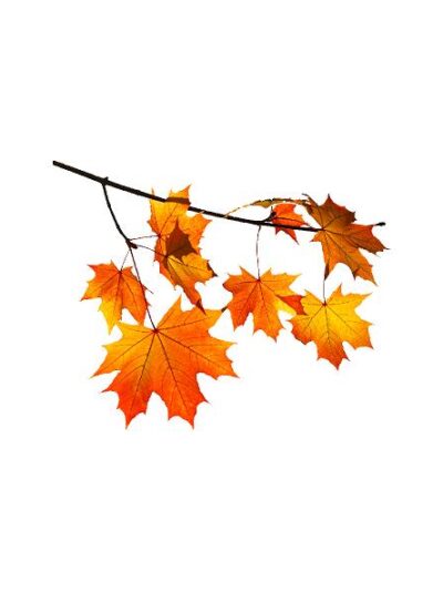 Efterår l: 120 cm #0562