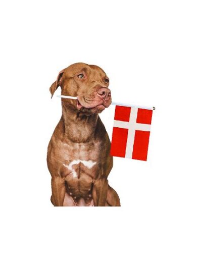 Hund fejring h: 90 cm#0568