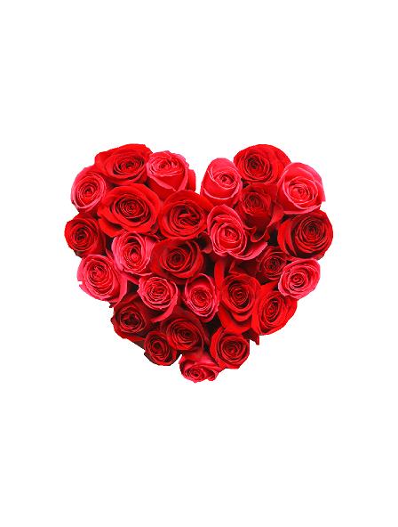 Hjerte af roser #0029