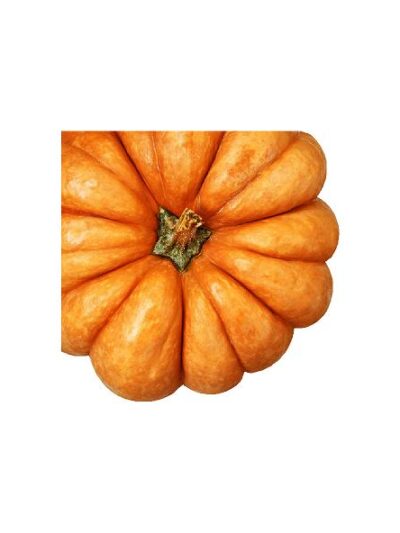 Græskar h:80 cm. #0632