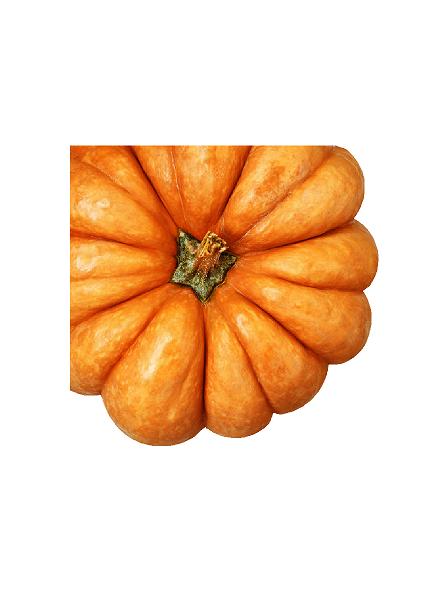 Græskar h:80 cm. #0632