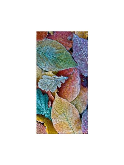 Vinter banner 100*200 cm #0634