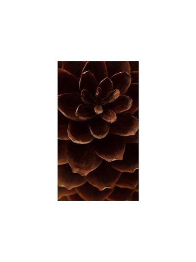 Vinter banner 100*200 cm #0635