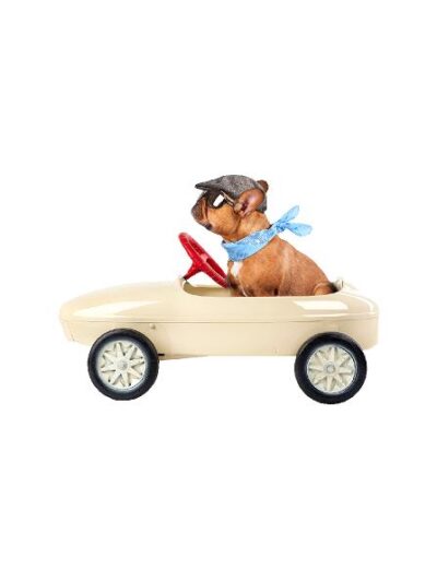 Valentine Hund B: 80 cm. (Vakumfolie.) #0720