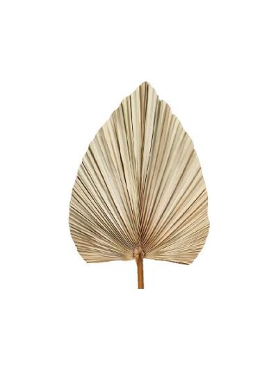 Efterår, Blad H: 70 cm. (Vakumfolie.) #0726