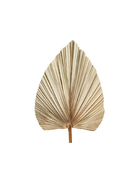 Efterår, Blad H: 70 cm. (Vakumfolie.) #0726