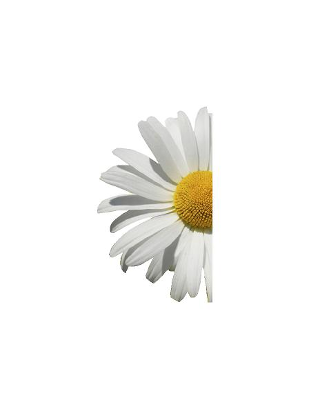 Forår, halv margorit #0018