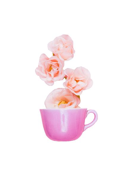 Forår, kaffe, blomster #0475